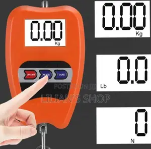 100kg Mini Crane Scale