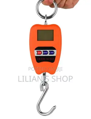 100kg Mini Crane Scale