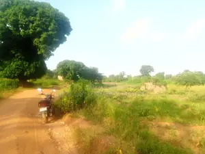 Price Cut 2.8 Titled Acres in Nalongo Luwero Along Highway