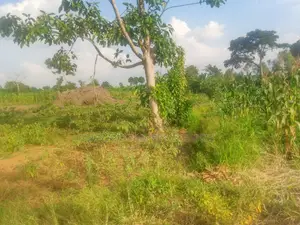 Price Cut 2.8 Titled Acres in Nalongo Luwero Along Highway