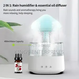 2 in 1 Rain Drop Humidifier and Essential Diffuser