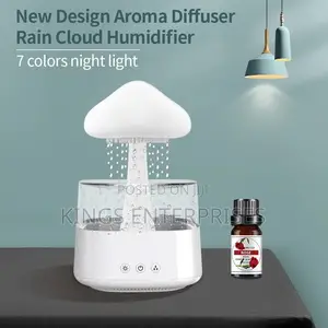 2 in 1 Rain Drop Humidifier and Essential Diffuser