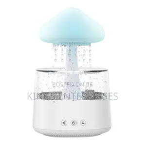2 in 1 Rain Drop Humidifier and Essential Diffuser