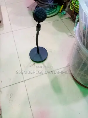 Microphone Stand With a Microphone