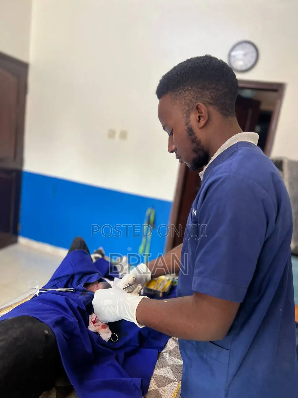 Veterinary Doctor