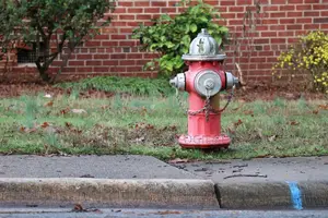 Landing Valves
