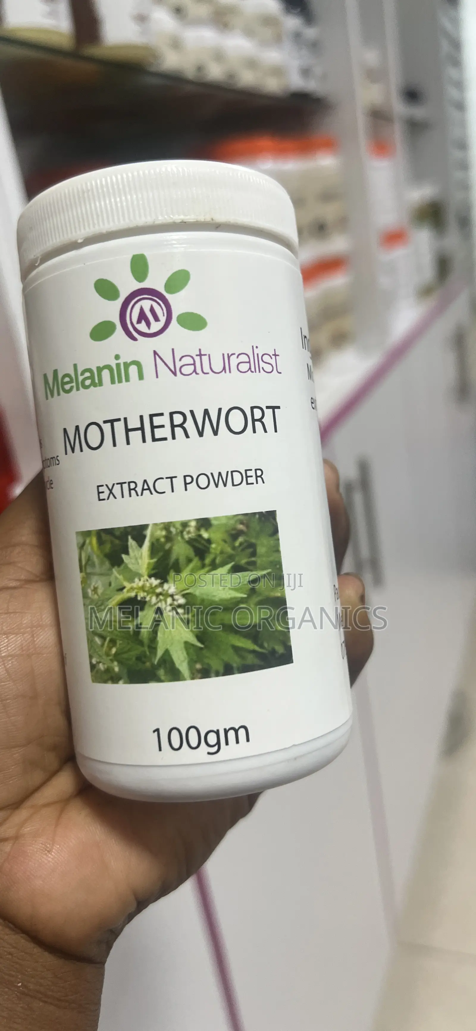 : Motherwort Extract Powder 100gm