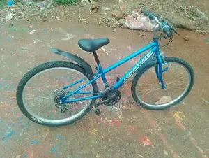 Ignition Kids Bike