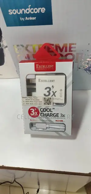 Excellent Charger 3X Micro