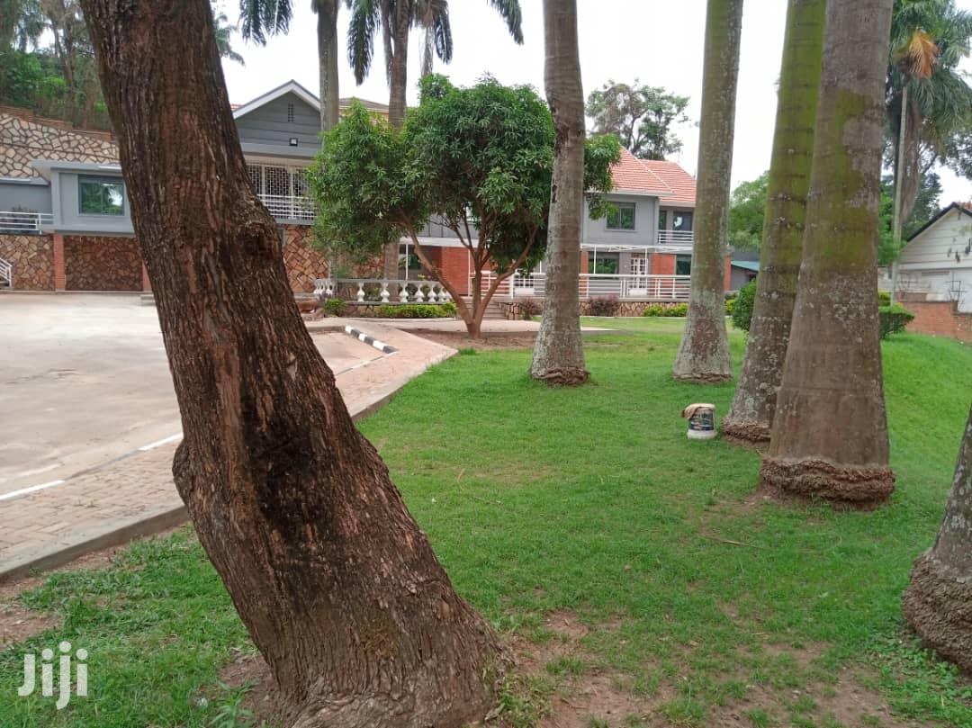 Office Block In Kololo For Rent