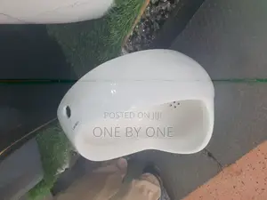 Professional Heavy-Duty Urinal Bowl