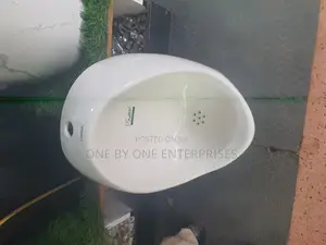 Professional Heavy-Duty Urinal Bowl