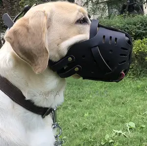 Muzzle Homemade Leather Bull Dog Muzzle