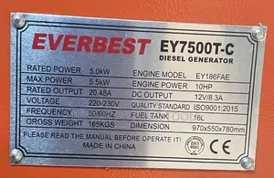 Everbest Generator EY7500T-C