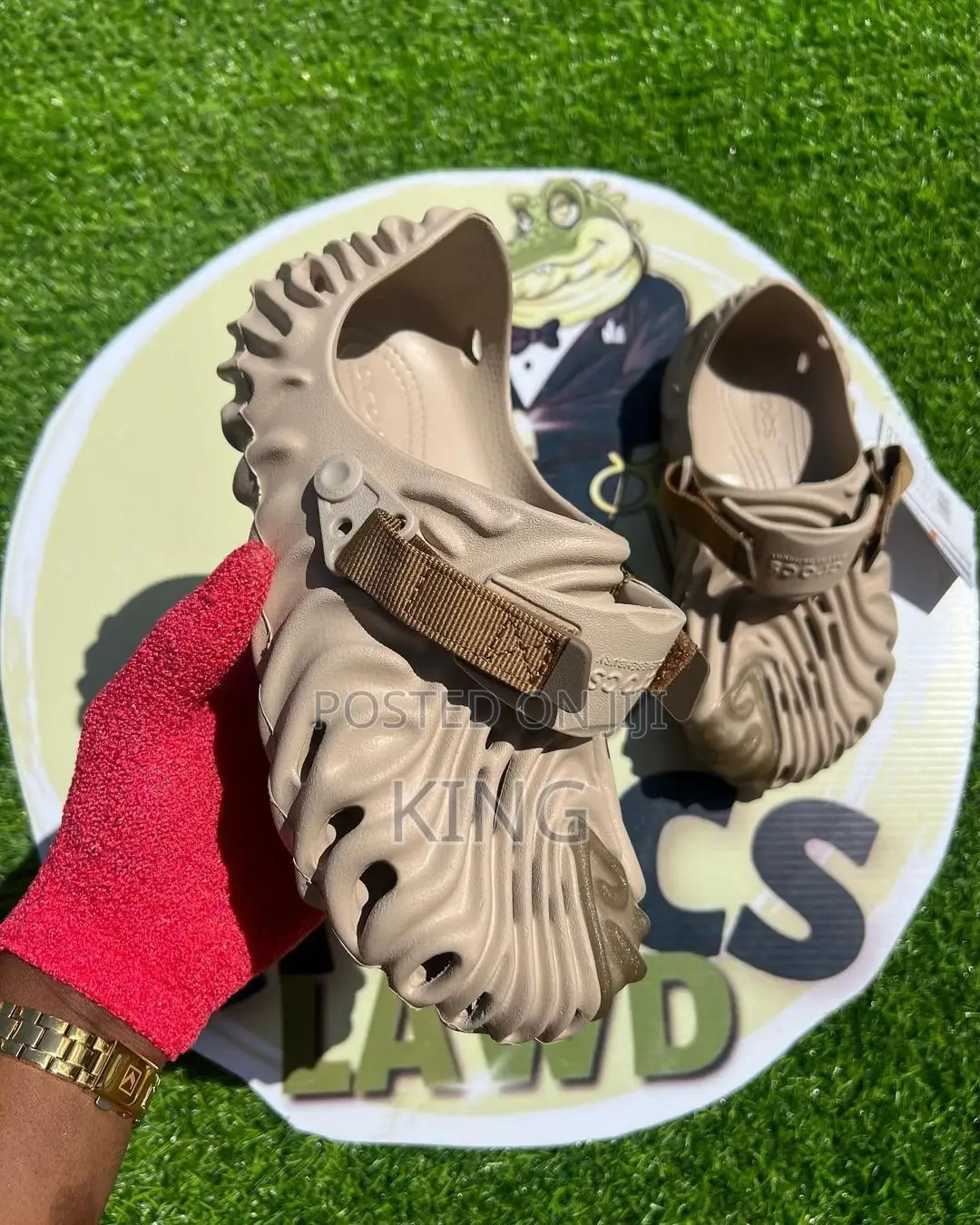 Pollex Crocs Brown.