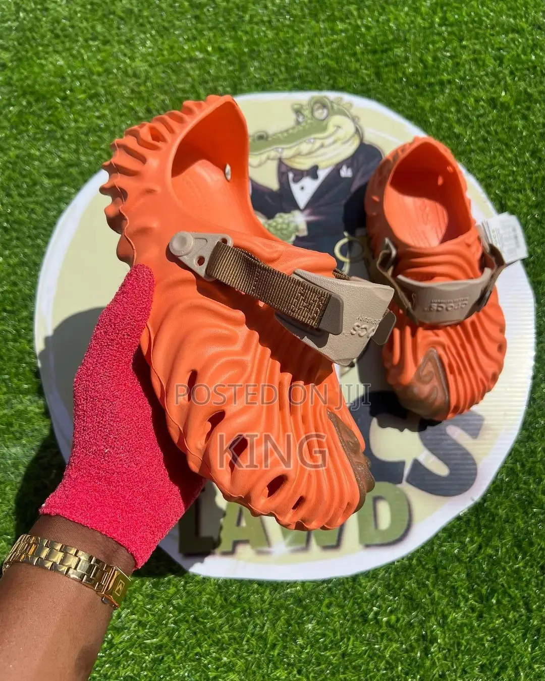 Pollex Crocs Brown.