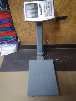 200kg Weigh Heavy Duty Weighing Scale Platform Balance Weighing Scale