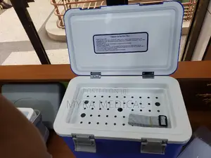 Vaccine Carrier or Cold Box
