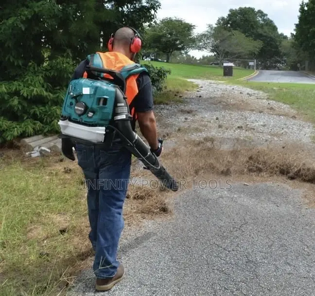 4 Stroke Air Blower Backpack