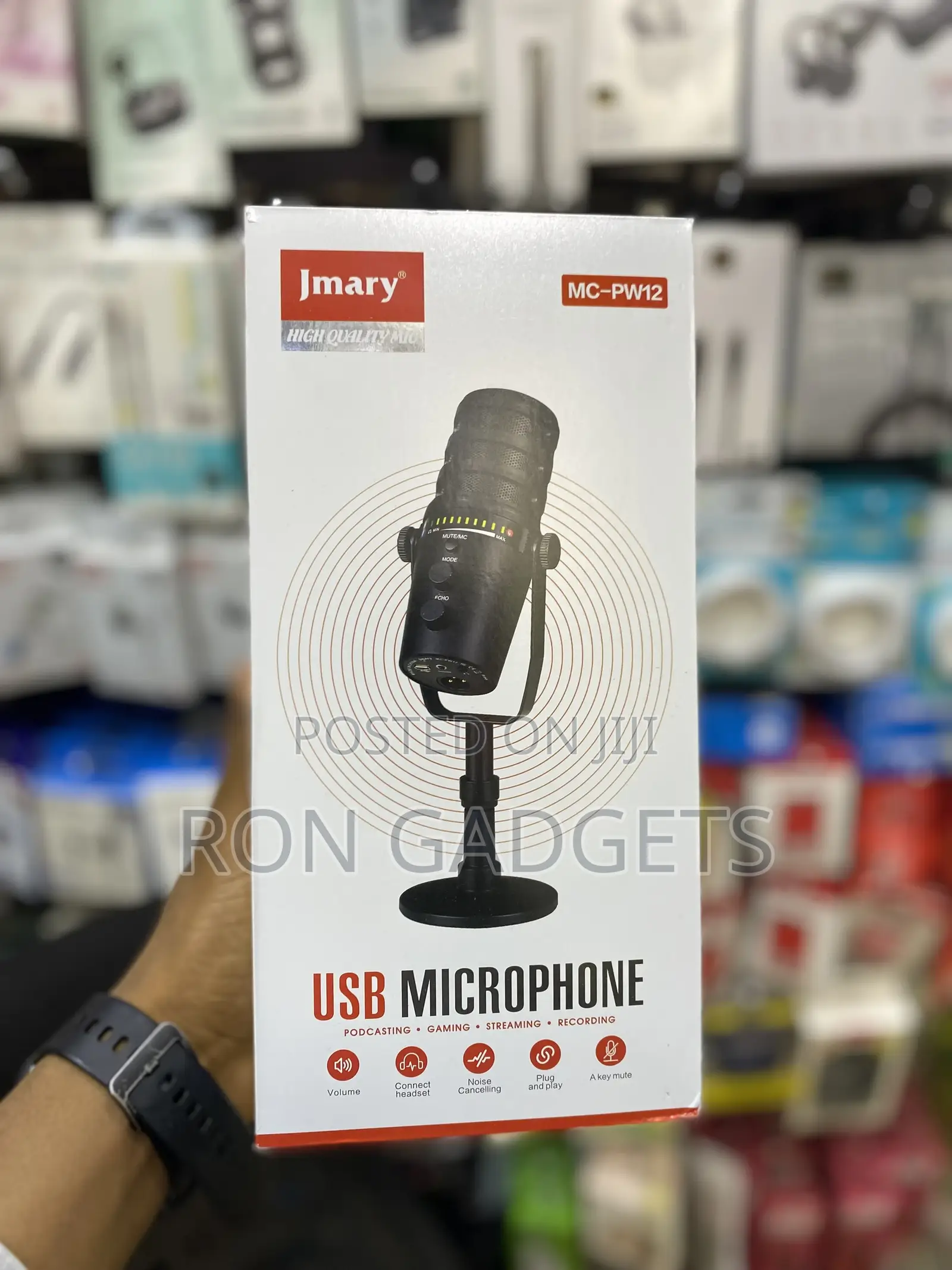 PW12 Microphone