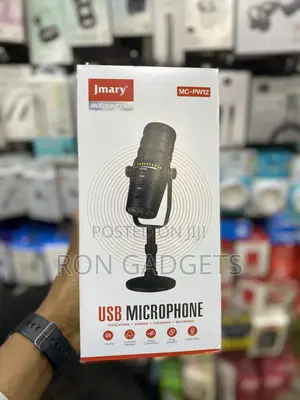 PW12 Microphone
