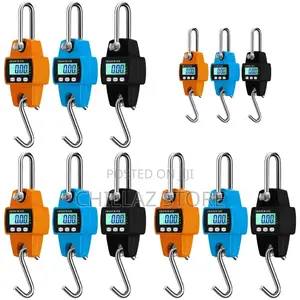Mini Portable Weighing Scale