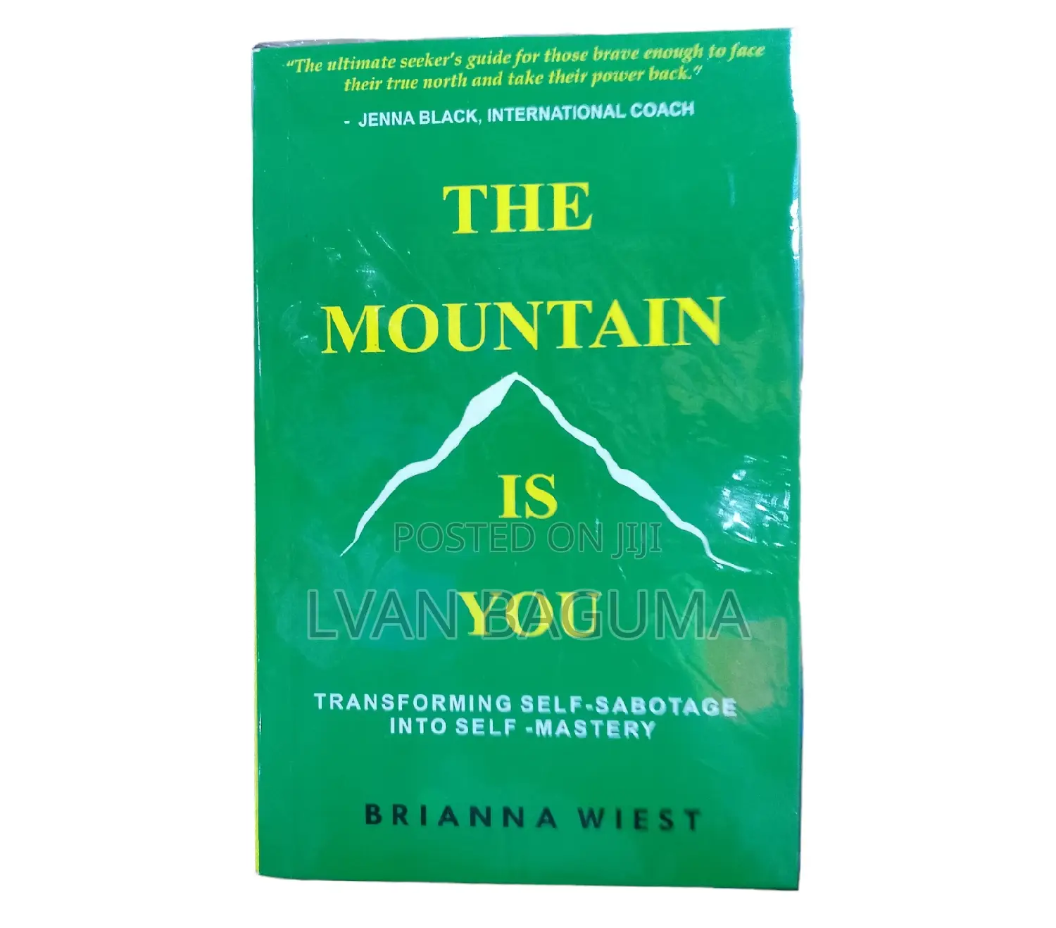 The Mountain Is You Book - Brianna Wiest