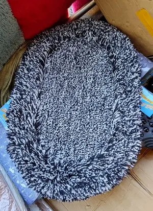 Shaggy Door Mat