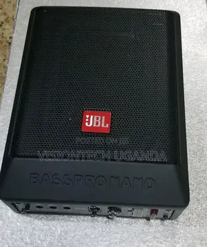 JBL Underseat Woofers #