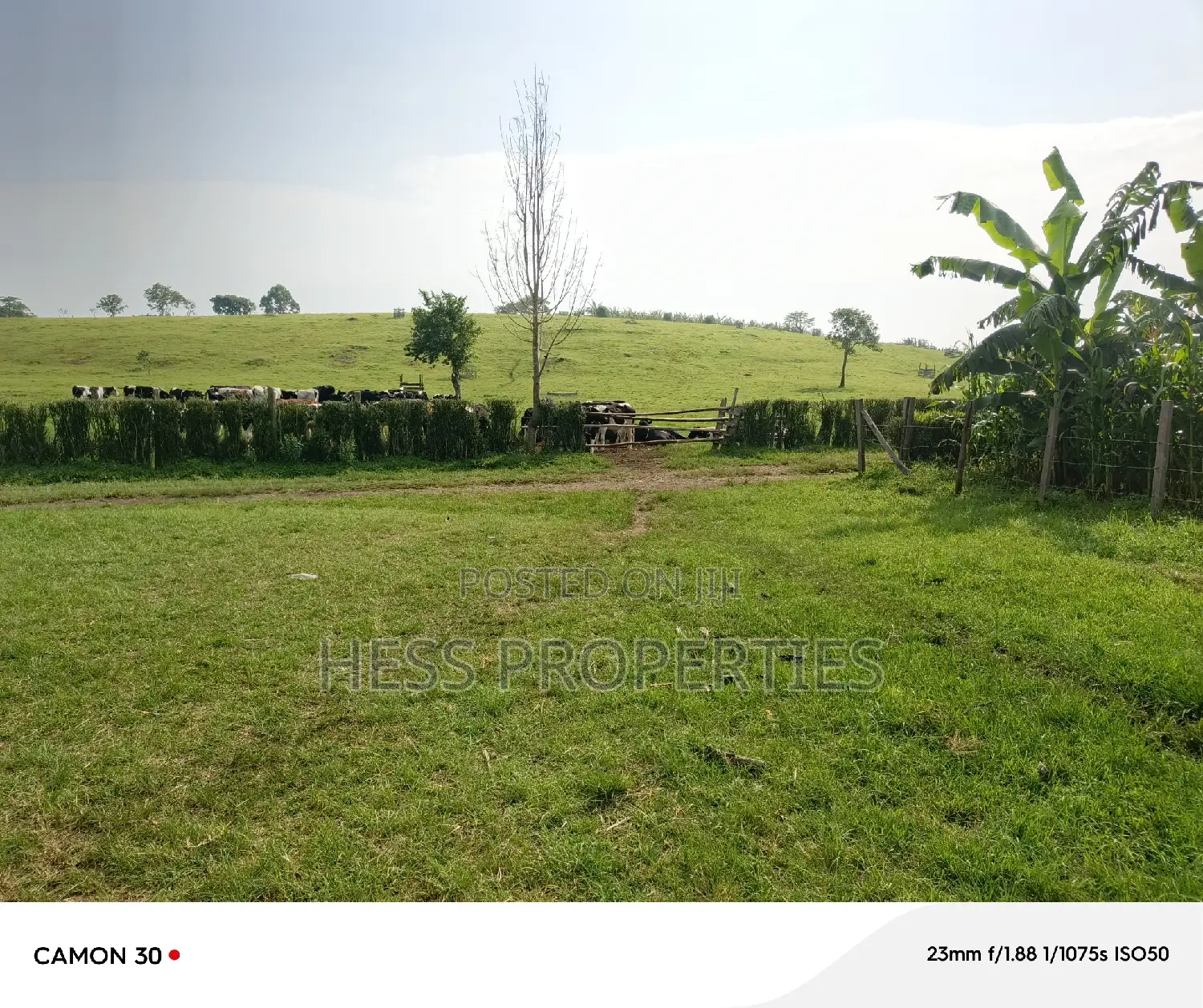 50acres of Land on Sale Located in Fort Portal City