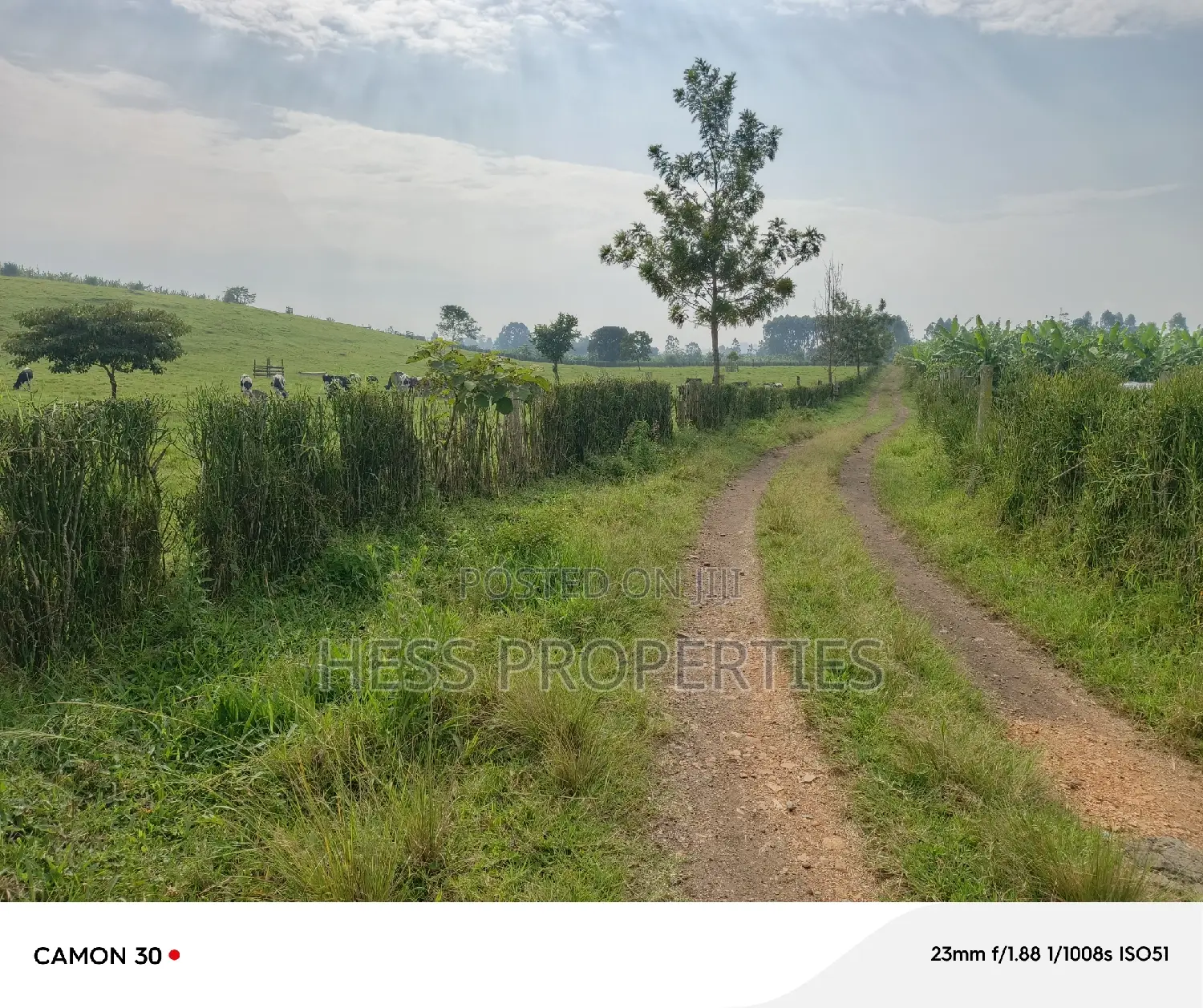 50acres of Land on Sale Located in Fort Portal City