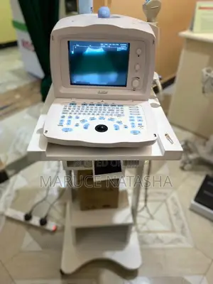 Portable Refurbished Dp 1100 2200 Ultrasound Scan(A Set)