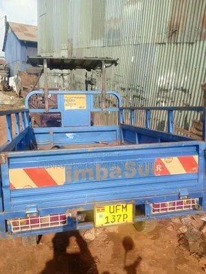 Tricycle 2023 Blue
