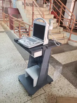 Portable Refurbished Dp 1100 2200 Ultrasound Scan(A Set)