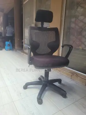 Mesh Back Adjustable Chair