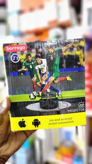 Borrego Mini Projector