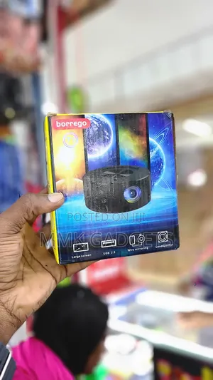 Borrego Mini Projector