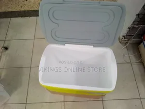 Green 25 Liter Pinnacle Ice Chiller Box