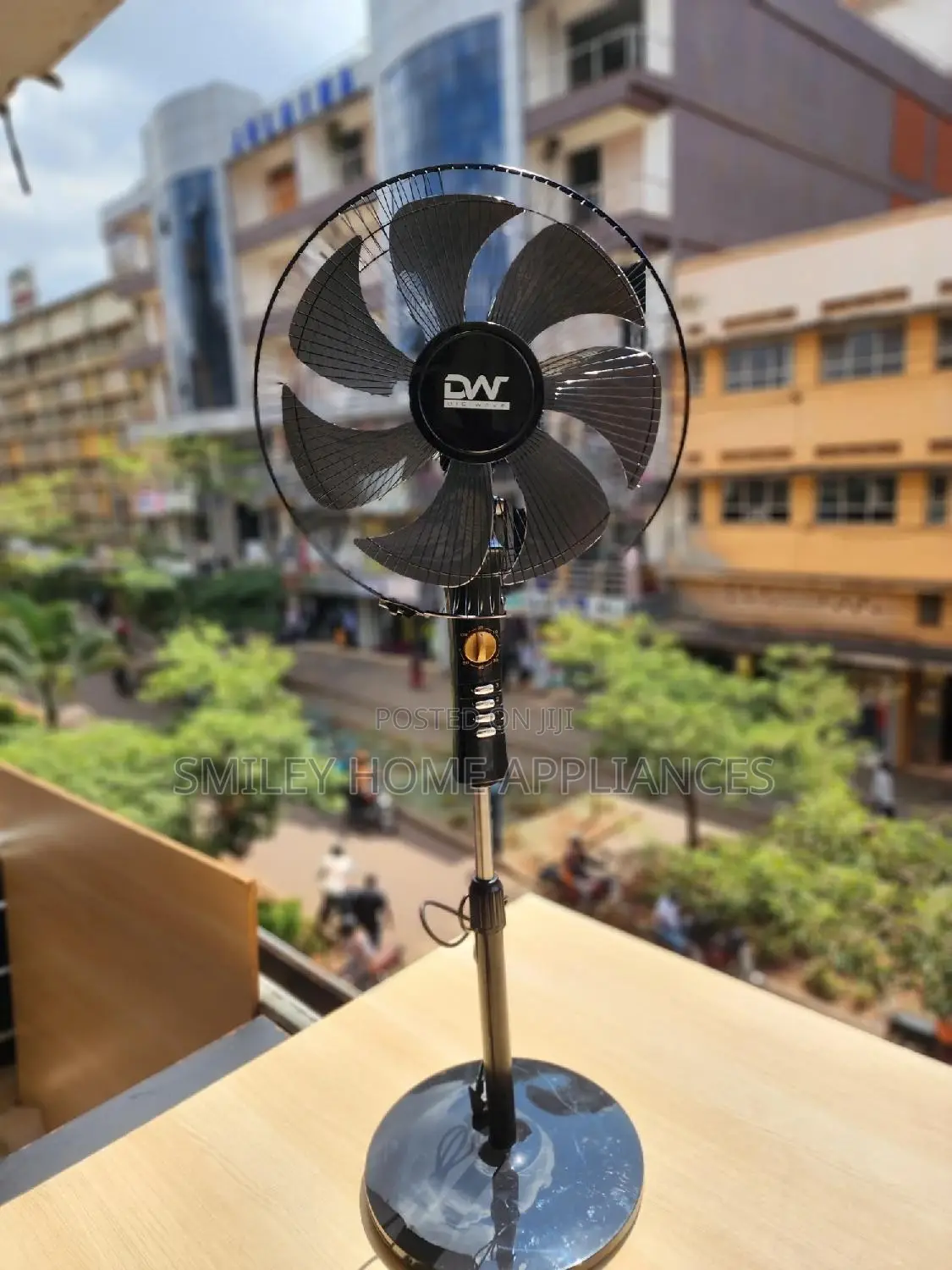 Brand DW Stand Fan