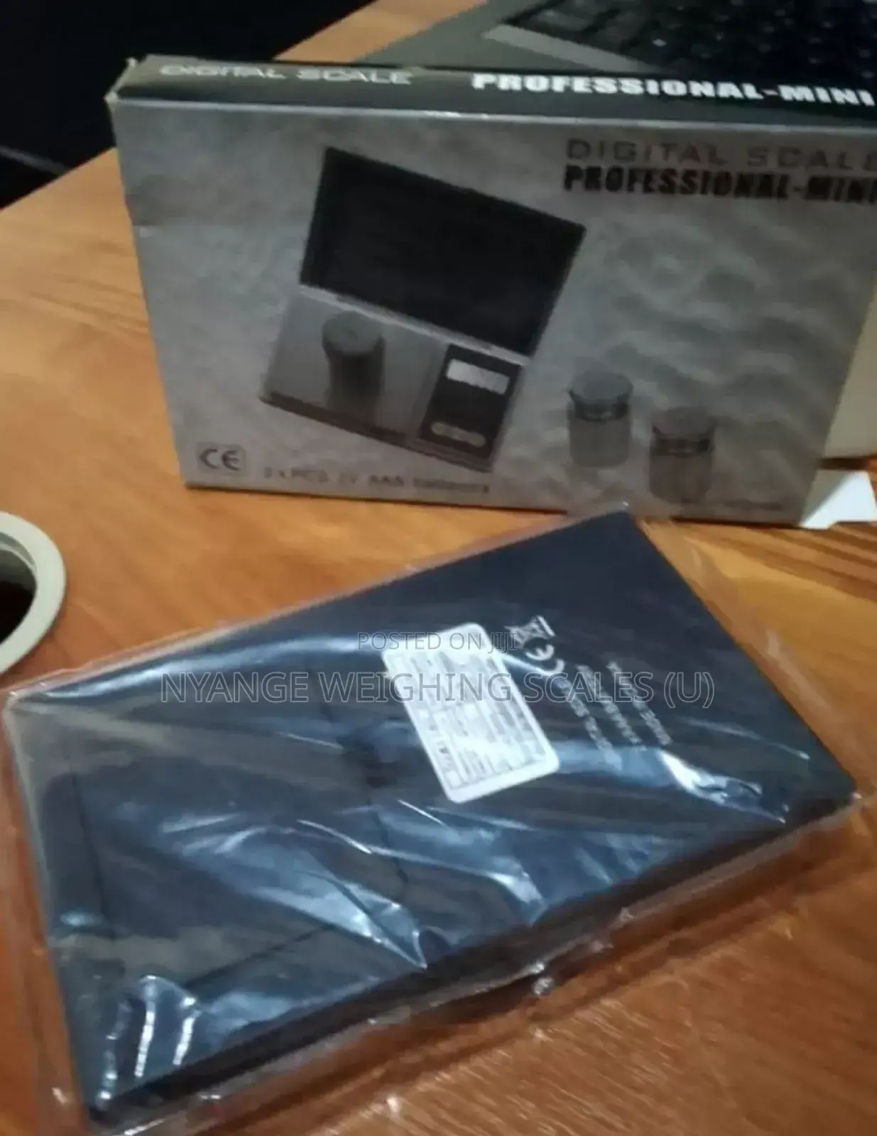 1000g/0.1g Weigh Digital Portable Weigh Scale Mineral Weighing Scale