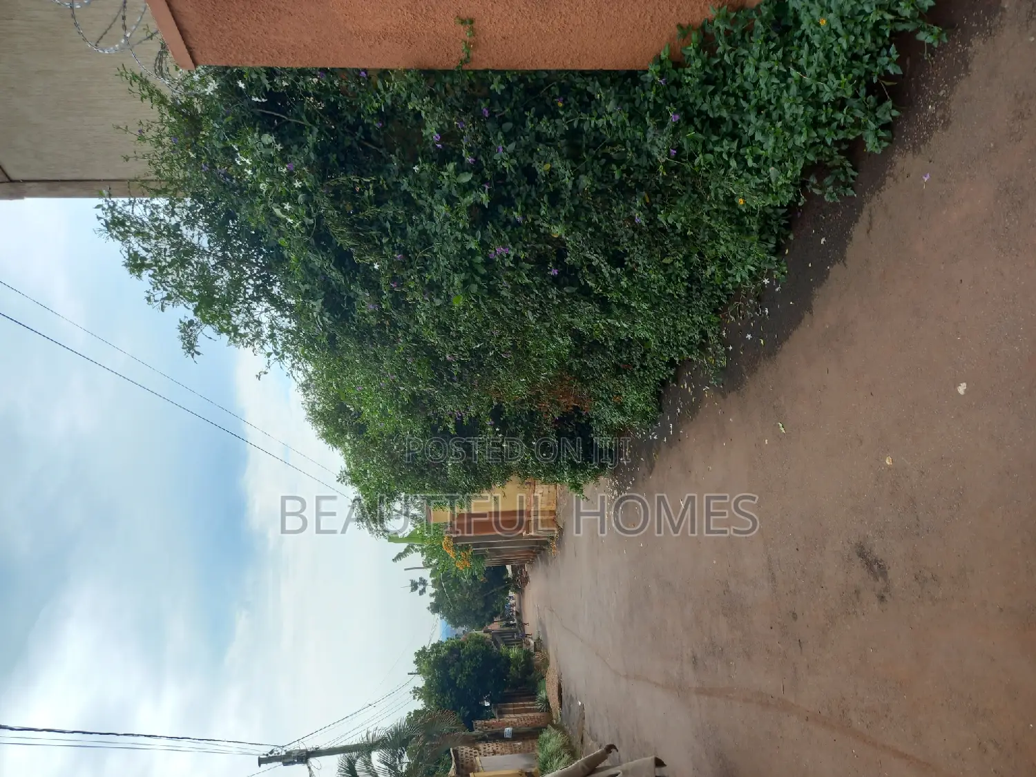 Kisaasi Prime Plot on Sell