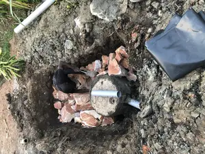 Swamps Biodigester Septic Tank System