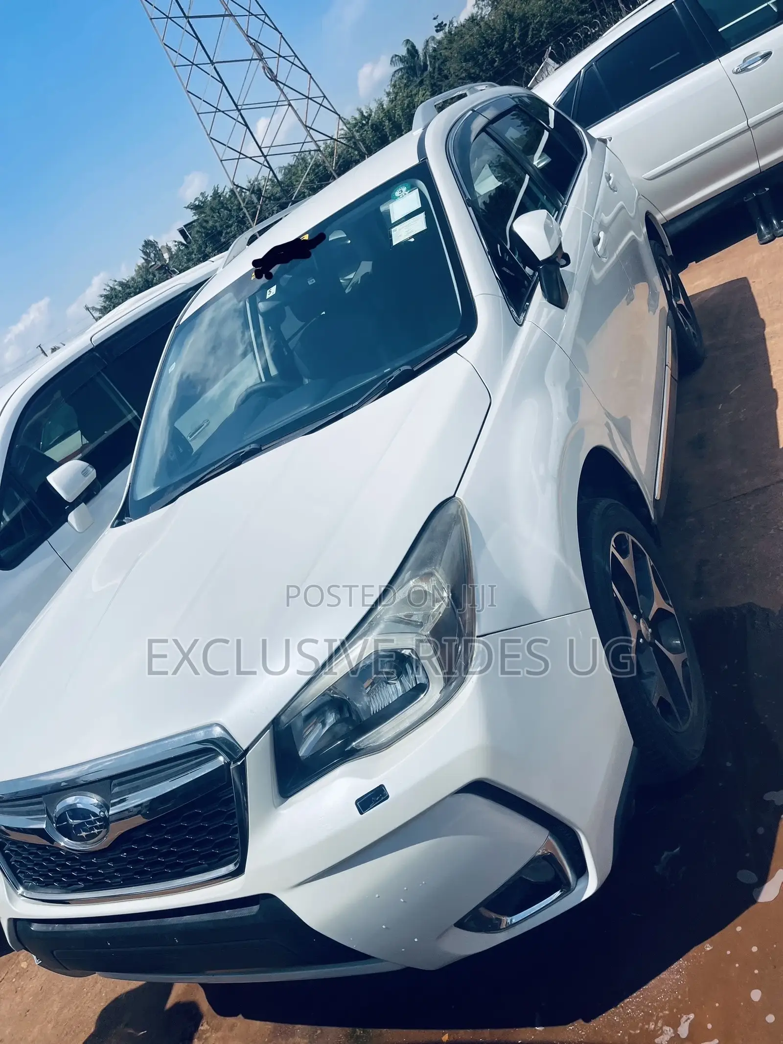Subaru Forester 2014 White