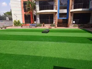 Grass Carpets(Artificial?