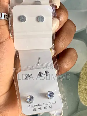 Magnetic Earpins