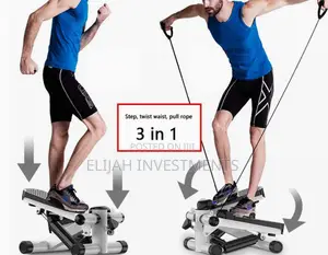 Portable Mini Fitness Twist Stepper Home Gym Exercise