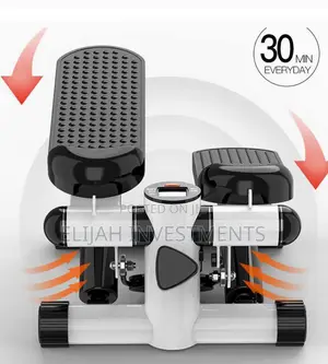 Portable Mini Fitness Twist Stepper Home Gym Exercise
