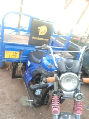 Tricycle 2022 Blue