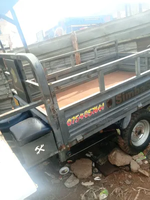 Tricycle 2023 Gray