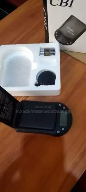 Cbi Weigh Scale Digital Weigh Pocket Weighing Scale 500g/0.1g (002)